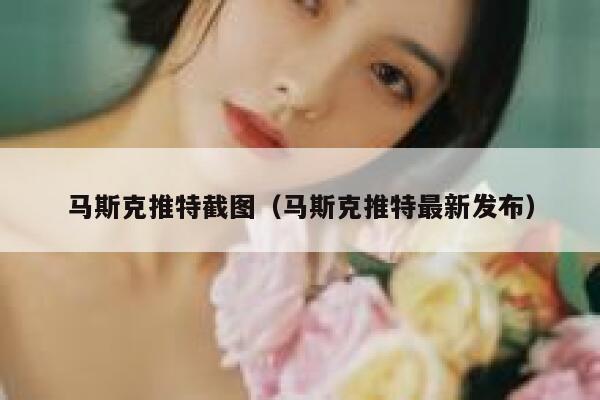 马斯克推特截图（马斯克推特最新发布） 第1张