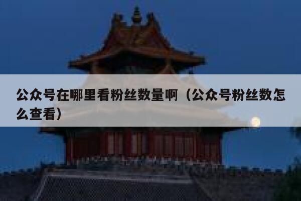 公众号在哪里看粉丝数量啊（公众号粉丝数怎么查看） 第1张