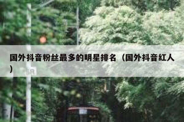 国外抖音粉丝最多的明星排名（国外抖音红人） 第1张
