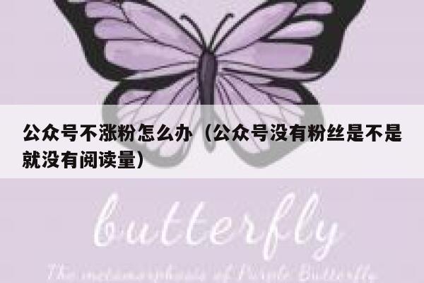 公众号不涨粉怎么办（公众号没有粉丝是不是就没有阅读量） 第1张