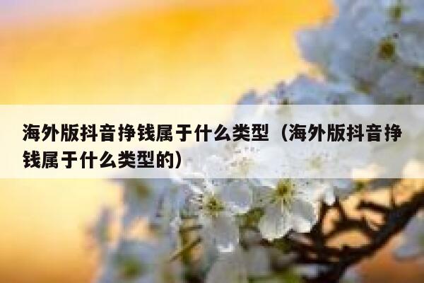 海外版抖音挣钱属于什么类型（海外版抖音挣钱属于什么类型的） 第1张