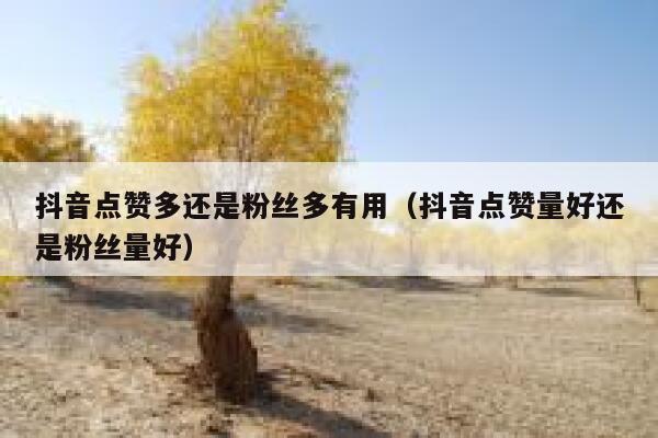 抖音点赞多还是粉丝多有用（抖音点赞量好还是粉丝量好） 第1张