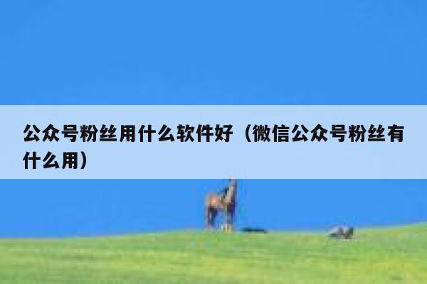 公众号粉丝用什么软件好（微信公众号粉丝有什么用） 第1张