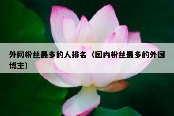外网粉丝最多的人排名（国内粉丝最多的外国博主） 第1张
