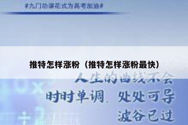 推特怎样涨粉（推特怎样涨粉最快） 第1张