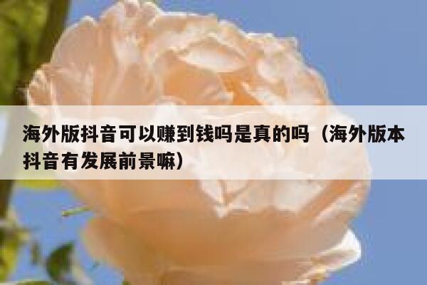 海外版抖音可以赚到钱吗是真的吗（海外版本抖音有发展前景嘛） 第1张