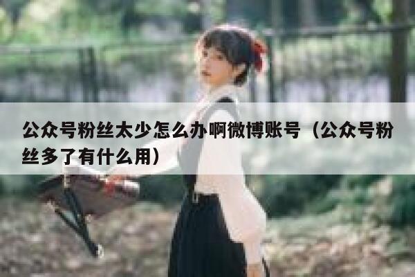 公众号粉丝太少怎么办啊微博账号（公众号粉丝多了有什么用） 第1张