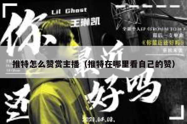 推特怎么赞赏主播（推特在哪里看自己的赞） 第1张