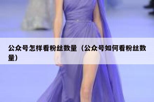 公众号怎样看粉丝数量（公众号如何看粉丝数量） 第1张