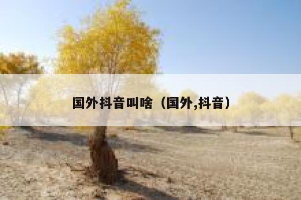 国外抖音叫啥（国外,抖音） 第1张