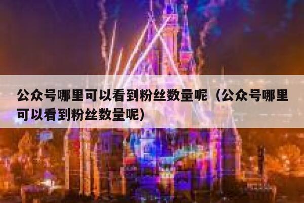 公众号哪里可以看到粉丝数量呢（公众号哪里可以看到粉丝数量呢） 第1张