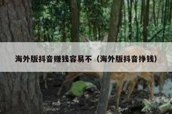 海外版抖音赚钱容易不（海外版抖音挣钱） 第1张