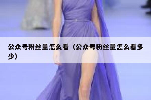 公众号粉丝量怎么看（公众号粉丝量怎么看多少） 第1张