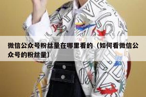 微信公众号粉丝量在哪里看的（如何看微信公众号的粉丝量） 第1张