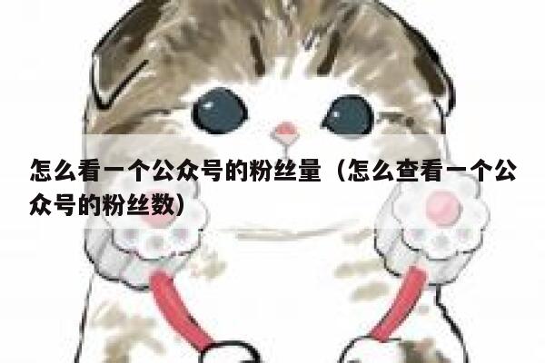 怎么看一个公众号的粉丝量（怎么查看一个公众号的粉丝数） 第1张