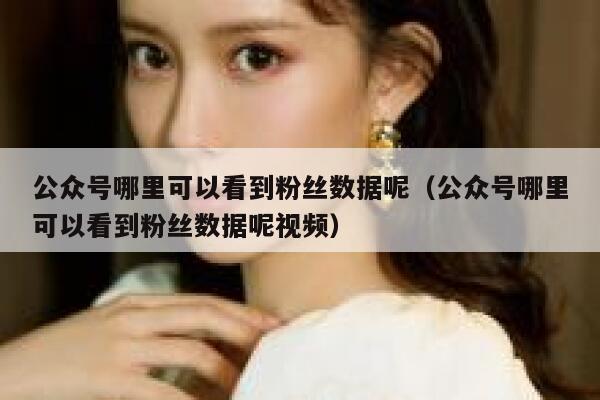 公众号哪里可以看到粉丝数据呢（公众号哪里可以看到粉丝数据呢视频） 第1张
