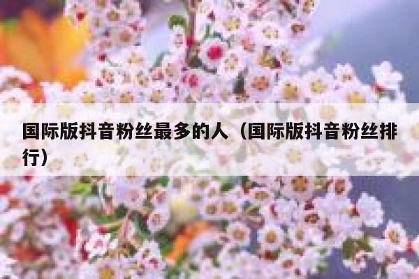 国际版抖音粉丝最多的人（国际版抖音粉丝排行） 第1张
