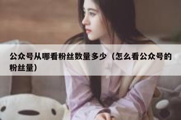 公众号从哪看粉丝数量多少（怎么看公众号的粉丝量） 第1张