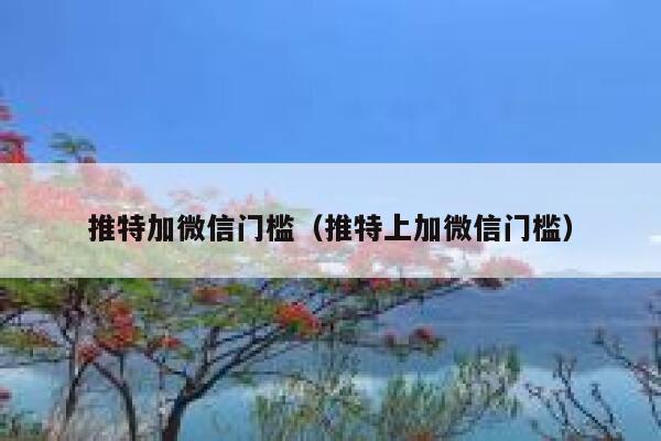 推特加微信门槛（推特上加微信门槛） 第1张