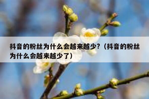 抖音的粉丝为什么会越来越少?（抖音的粉丝为什么会越来越少了） 第1张