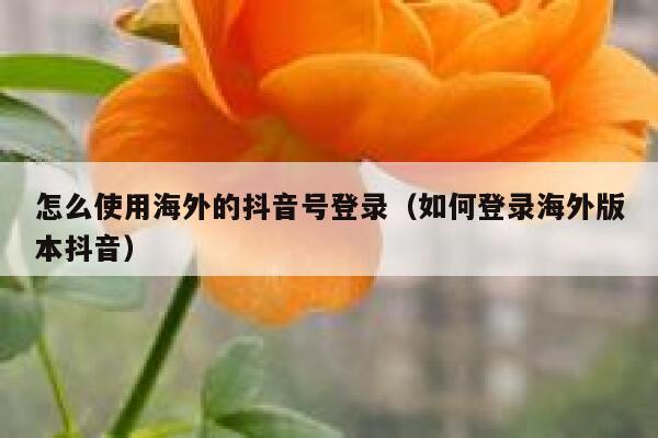 怎么使用海外的抖音号登录（如何登录海外版本抖音） 第1张
