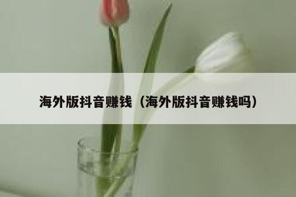海外版抖音赚钱（海外版抖音赚钱吗） 第1张