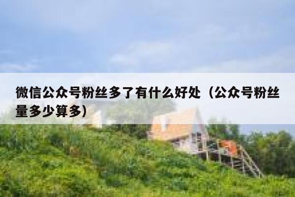 微信公众号粉丝多了有什么好处（公众号粉丝量多少算多） 第1张
