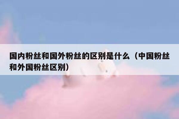 国内粉丝和国外粉丝的区别是什么（中国粉丝和外国粉丝区别） 第1张