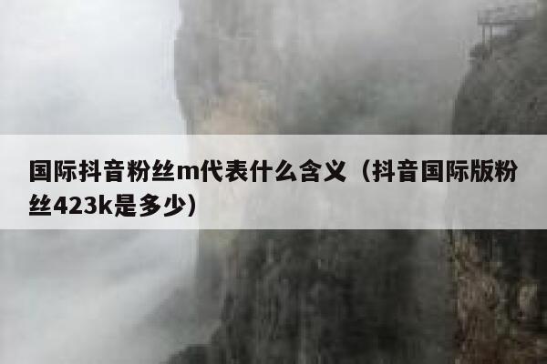 国际抖音粉丝m代表什么含义（抖音国际版粉丝423k是多少） 第1张