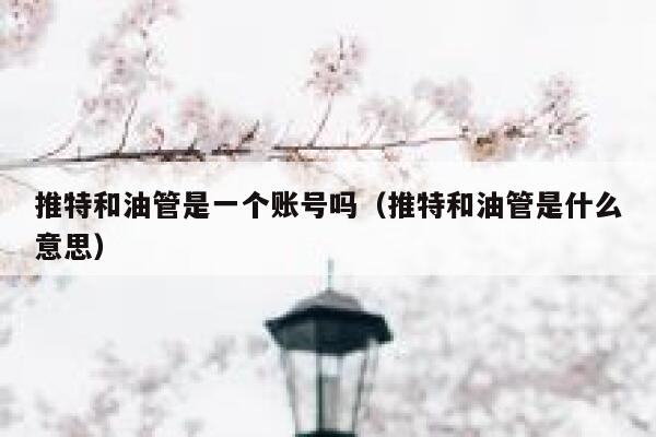 推特和油管是一个账号吗（推特和油管是什么意思） 第1张