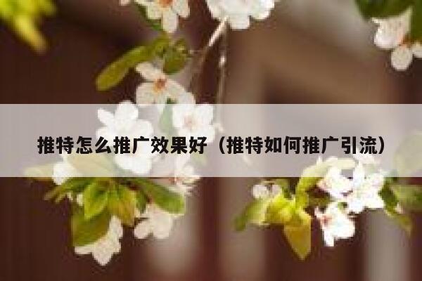 推特怎么推广效果好（推特如何推广引流） 第1张