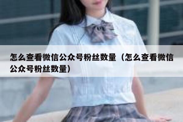 怎么查看微信公众号粉丝数量（怎么查看微信公众号粉丝数量） 第1张