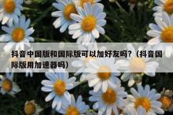 抖音中国版和国际版可以加好友吗?（抖音国际版用加速器吗） 第1张