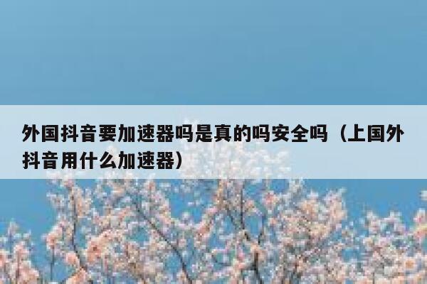 外国抖音要加速器吗是真的吗安全吗（上国外抖音用什么加速器） 第1张