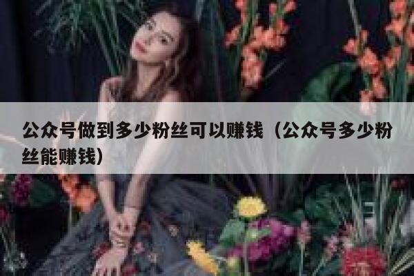 公众号做到多少粉丝可以赚钱（公众号多少粉丝能赚钱） 第1张