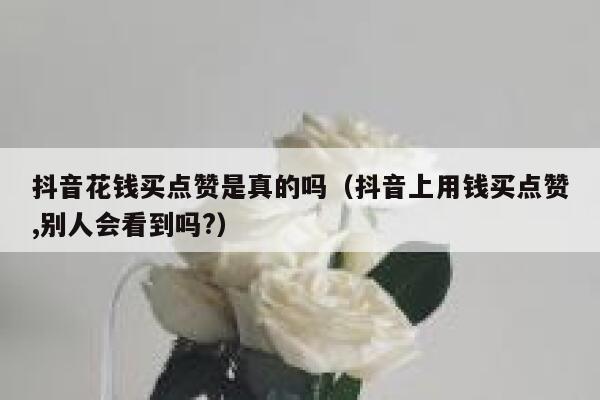 抖音花钱买点赞是真的吗（抖音上用钱买点赞,别人会看到吗?） 第1张