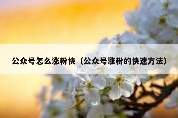 公众号怎么涨粉快（公众号涨粉的快速方法） 第1张