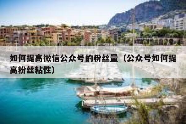 如何提高微信公众号的粉丝量（公众号如何提高粉丝粘性） 第1张