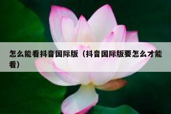 怎么能看抖音国际版（抖音国际版要怎么才能看） 第1张