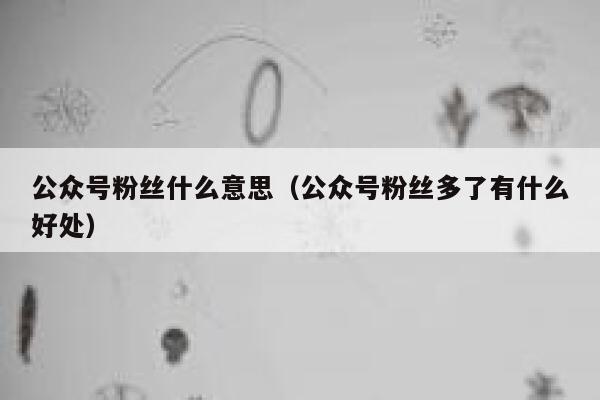 公众号粉丝什么意思（公众号粉丝多了有什么好处） 第1张