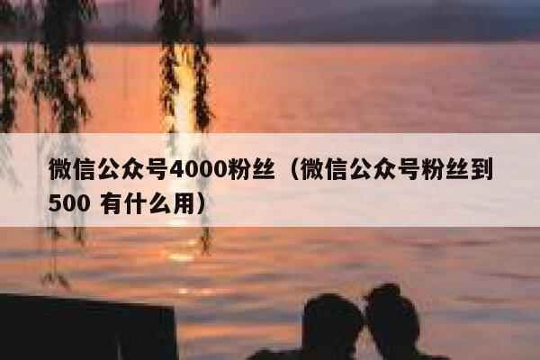 微信公众号4000粉丝（微信公众号粉丝到500 有什么用） 第1张