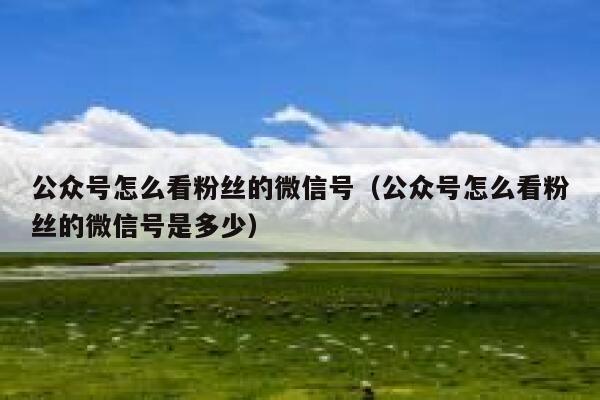公众号怎么看粉丝的微信号（公众号怎么看粉丝的微信号是多少） 第1张