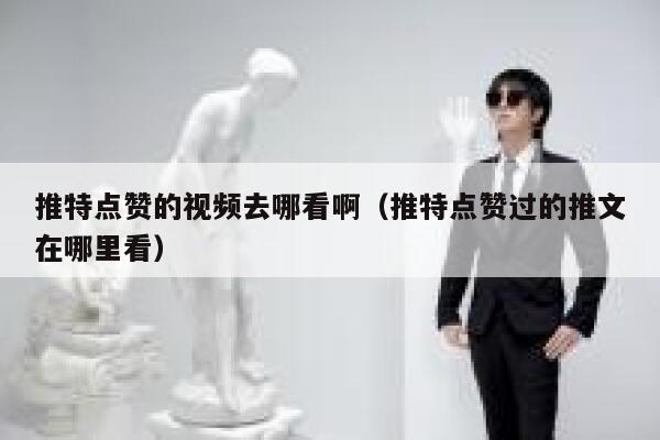 推特点赞的视频去哪看啊（推特点赞过的推文在哪里看） 第1张