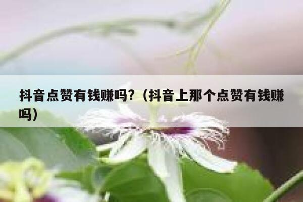 抖音点赞有钱赚吗?（抖音上那个点赞有钱赚吗） 第1张