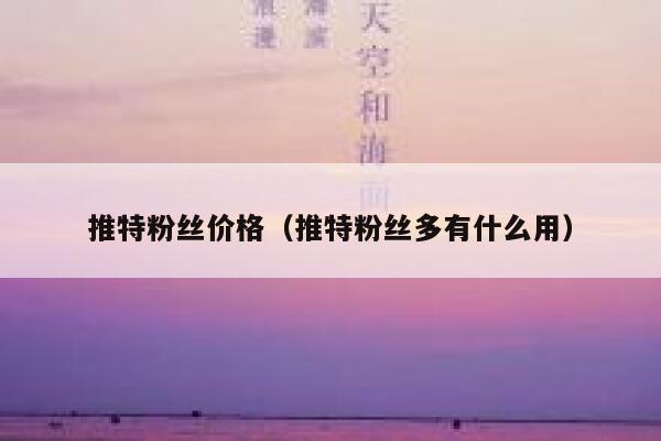 推特粉丝价格（推特粉丝多有什么用） 第1张
