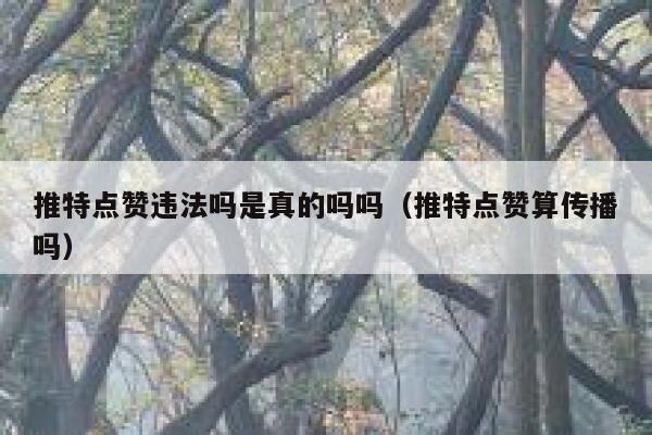 推特点赞违法吗是真的吗吗（推特点赞算传播吗） 第1张