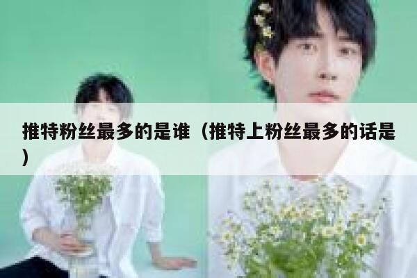 推特粉丝最多的是谁（推特上粉丝最多的话是） 第1张