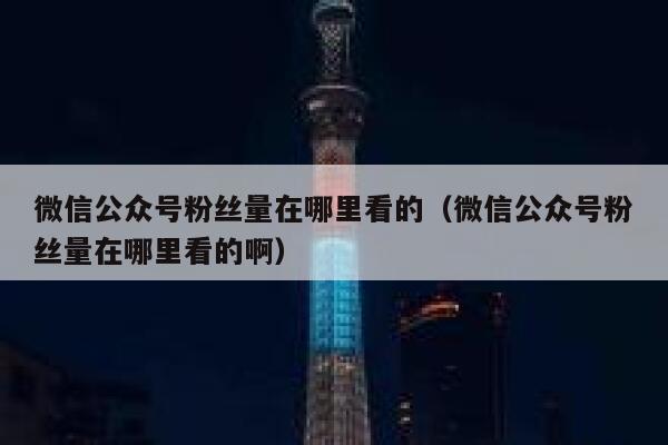 微信公众号粉丝量在哪里看的（微信公众号粉丝量在哪里看的啊） 第1张