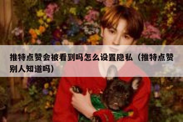 推特点赞会被看到吗怎么设置隐私（推特点赞别人知道吗） 第1张
