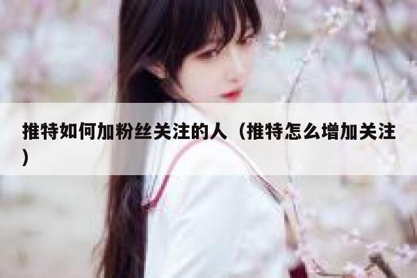 推特如何加粉丝关注的人（推特怎么增加关注） 第1张